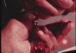 Image of crime evidence gathered examined United States USA, 1970, second 43 stock footage video 65675078754
