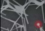 Image of FBI technicians view forensic evidence with microscopes United States USA, 1959, second 50 stock footage video 65675078761