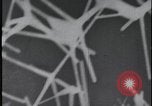 Image of FBI technicians view forensic evidence with microscopes United States USA, 1959, second 51 stock footage video 65675078761