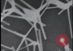 Image of FBI technicians view forensic evidence with microscopes United States USA, 1959, second 53 stock footage video 65675078761