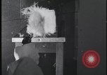 Image of FBI technicians view forensic evidence with microscopes United States USA, 1959, second 56 stock footage video 65675078761