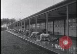 Image of FBI Academy shooting range Quantico Virginia USA, 1959, second 5 stock footage video 65675078766