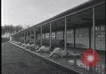 Image of FBI Academy shooting range Quantico Virginia USA, 1959, second 10 stock footage video 65675078766