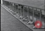 Image of FBI Academy shooting range Quantico Virginia USA, 1959, second 14 stock footage video 65675078766
