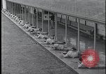 Image of FBI Academy shooting range Quantico Virginia USA, 1959, second 15 stock footage video 65675078766