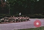 Standbild Hippie Teenager mit Polizei Washington DC USA, 1967, aus Sekunde 5 historischem Filmmaterial Videoclip 65675078771