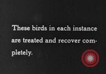 Image of canary in a coal mine United States USA, 1926, second 45 stock footage video 65675078790
