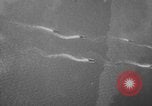 Image of D-Day Normandy France, 1944, second 6 stock footage video 65675078794