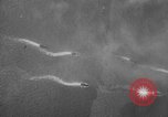 Image of D-Day Normandy France, 1944, second 10 stock footage video 65675078794