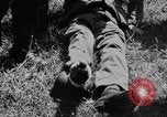 Image of D-Day France, 1944, second 39 stock footage video 65675078796