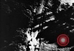 Image of D-Day France, 1944, second 28 stock footage video 65675078802