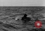Image of D-Day France, 1944, second 8 stock footage video 65675078803