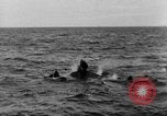 Image of D-Day France, 1944, second 9 stock footage video 65675078803