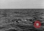 Image of D-Day France, 1944, second 11 stock footage video 65675078803