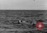 Image of D-Day France, 1944, second 12 stock footage video 65675078803