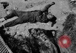 Image of Normandy France, 1944, second 22 stock footage video 65675078805