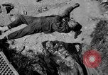 Image of Normandy France, 1944, second 24 stock footage video 65675078805