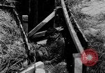 Image of Normandy France, 1944, second 28 stock footage video 65675078805
