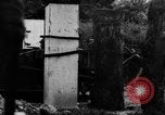 Image of Normandy France, 1944, second 46 stock footage video 65675078805