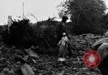 Image of Normandy France, 1944, second 51 stock footage video 65675078805