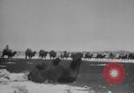 Image of Flying Tigers defend Burma Burma, 1942, second 11 stock footage video 65675078814