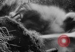 Image of Japanese invasion Burma Burma, 1942, second 14 stock footage video 65675078816