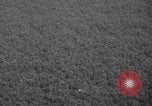 Standbild Mandalay Burma Dschungel Birma, 1942, aus Sekunde 41 historischem Filmmaterial Videoclip 65675078817
