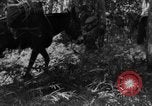 Standbild Mandalay Burma Dschungel Birma, 1942, aus Sekunde 52 historischem Filmmaterial Videoclip 65675078817