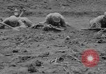 Image Entraînement chinois combat Command Ramgarh Inde Inde, 1942, de la seconde 42 séquences d'archives historiques vidéo 65675078818