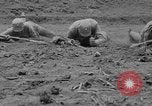Image Entraînement chinois combat Command Ramgarh Inde Inde, 1942, de la seconde 43 séquences d'archives historiques vidéo 65675078818