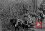 Standbild Chinesische Flüchtlinge fliehen aus dem japanischen Zweiter Weltkrieg China, 1942, aus Sekunde 17 historischem Filmmaterial Videoclip 65675078819