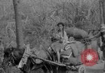 Standbild Chinesische Flüchtlinge fliehen aus dem japanischen Zweiter Weltkrieg China, 1942, aus Sekunde 18 historischem Filmmaterial Videoclip 65675078819
