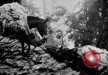 Standbild Chinesische Flüchtlinge fliehen aus dem japanischen Zweiter Weltkrieg China, 1942, aus Sekunde 43 historischem Filmmaterial Videoclip 65675078819