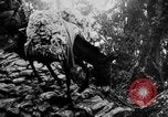Standbild Chinesische Flüchtlinge fliehen aus dem japanischen Zweiter Weltkrieg China, 1942, aus Sekunde 45 historischem Filmmaterial Videoclip 65675078819