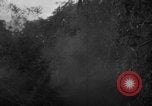 Standbild Bau der Ledo Road Assam Indien, 1942, aus Sekunde 52 historischem Filmmaterial Videoclip 65675078821