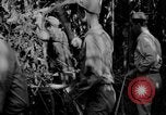 Standbild Bau der Ledo Road Assam Indien, 1942, aus Sekunde 55 historischem Filmmaterial Videoclip 65675078821