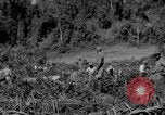 Standbild Bau der Ledo Road Assam Indien, 1942, aus Sekunde 60 historischem Filmmaterial Videoclip 65675078821