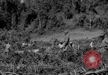 Standbild Bau der Ledo Road Assam Indien, 1942, aus Sekunde 61 historischem Filmmaterial Videoclip 65675078821