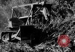Standbild Bau der Ledo Road Assam Indien, 1942, aus Sekunde 62 historischem Filmmaterial Videoclip 65675078821
