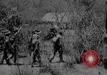 Image of Chindits with Orde Wingate Burma, 1943, second 3 stock footage video 65675078823