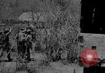 Image of Chindits with Orde Wingate Burma, 1943, second 4 stock footage video 65675078823