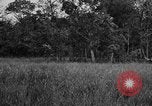 Image of Chindits with Orde Wingate Burma, 1943, second 31 stock footage video 65675078823