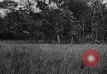Image of Chindits with Orde Wingate Burma, 1943, second 32 stock footage video 65675078823