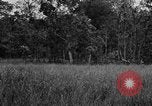 Image of Chindits with Orde Wingate Burma, 1943, second 33 stock footage video 65675078823