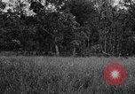 Image of Chindits with Orde Wingate Burma, 1943, second 34 stock footage video 65675078823