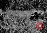 Image of Chindits with Orde Wingate Burma, 1943, second 36 stock footage video 65675078823