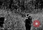 Image of Chindits with Orde Wingate Burma, 1943, second 38 stock footage video 65675078823