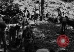 Image of Chindits with Orde Wingate Burma, 1943, second 46 stock footage video 65675078823