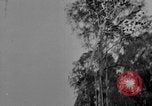 Image of Ledo Road construction defense Assam India, 1943, second 3 stock footage video 65675078825