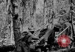 Image of Ledo Road construction defense Assam India, 1943, second 48 stock footage video 65675078825